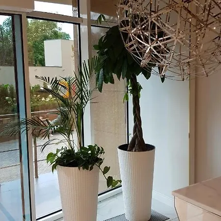 Apartment квартира у моря аркадия *